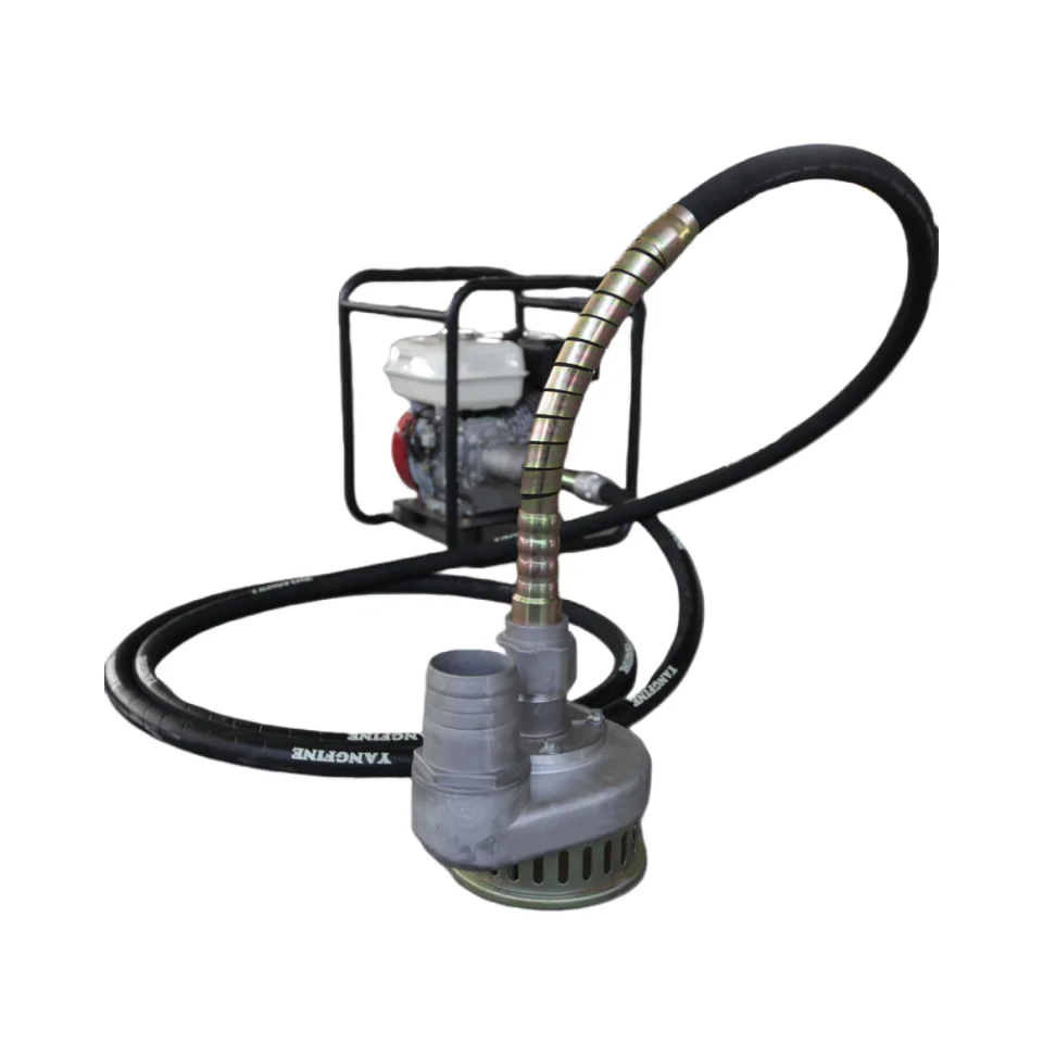 Petro Power engine submersible water pump nice job water pump