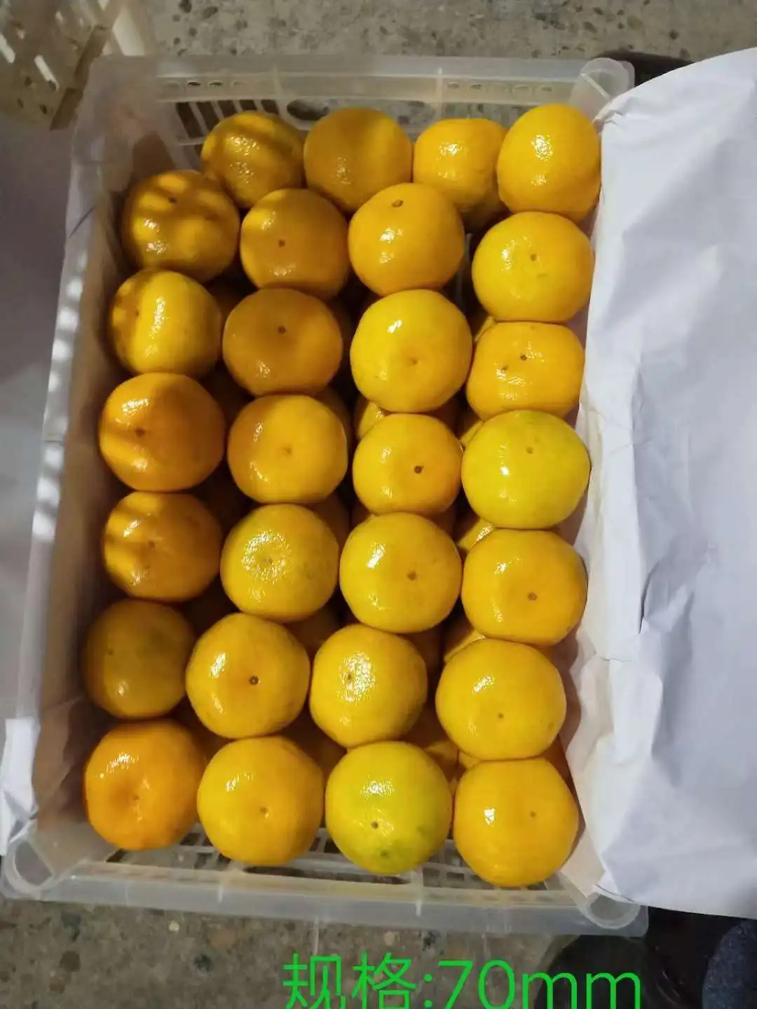 Chinese Fresh New Crop Baby madarine orange