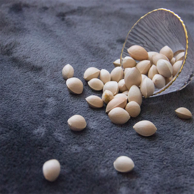 Wholesale   Best Grade Quality High Quality GINKGO NUTS Available For Sale