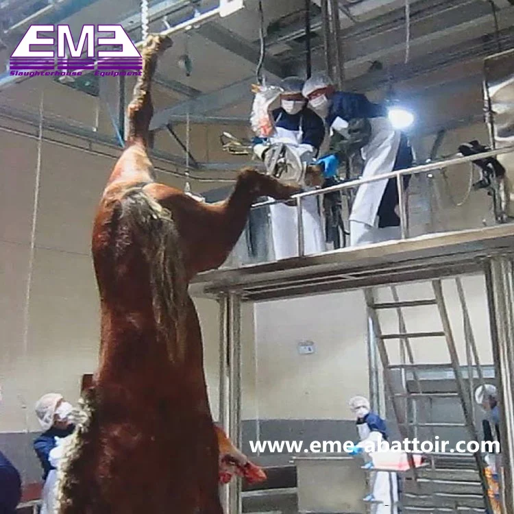 Cow Slaughter Line Abattoir Machinery for Complete Production Cattle Bovine Slaughterhouse Equipment for Sale Silver Provided