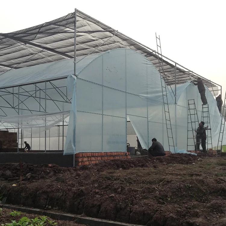 Automatic Multi Arch Multi-span Agricultural Greenhouses With Hydroponics Equipment Greenhouses