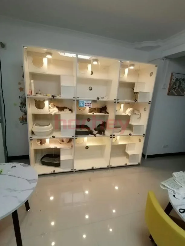 MT Medical customized high quality wooden cat cage light pet kennels temper glasses for animal shop