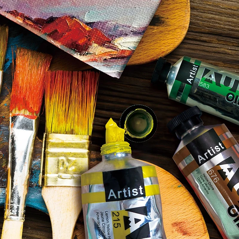AUREUO 6 Colours 40ml Artist Grade High Quality Multi colors Painting Art Oil Paint Set