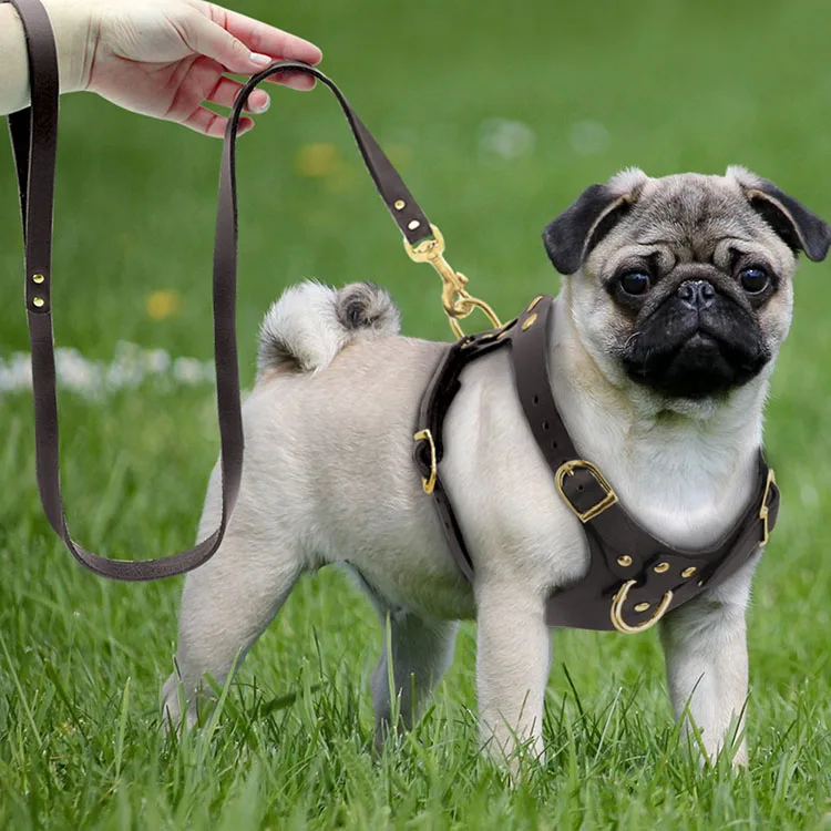 Custom Personalized PU Leather retractable Pet dog harness and leash  for small medium dogs pug beagle brown