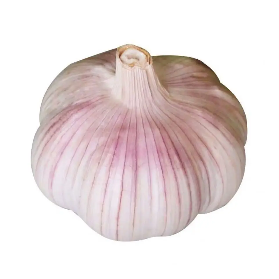 China High Quality  100%  white peeled dried garlic for sale