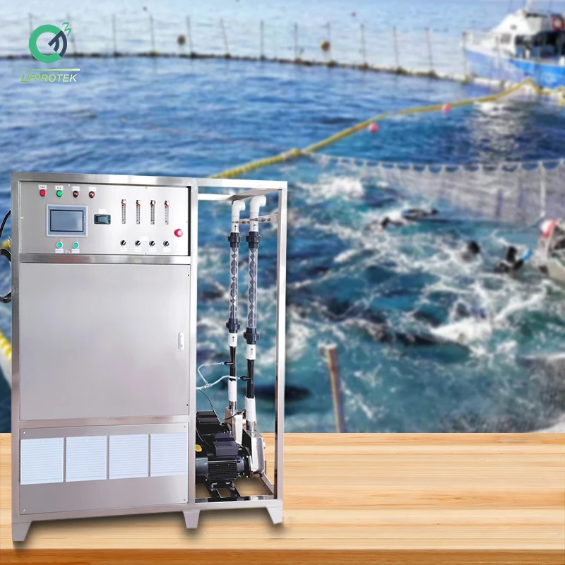 100g/h Ozone Generator Water Machine for Fish Farm