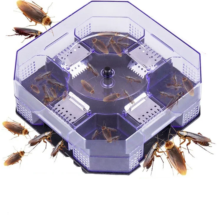 
Super Strong Cockroach Board Safety Non-Toxic Pest Control Rat Trap Glue Catch Cockroach Trap for Sale 