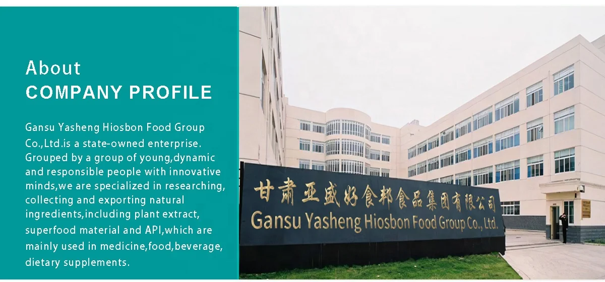 HSB Supply High Quality Plant Extract Guarana Extract Caffeine Powder