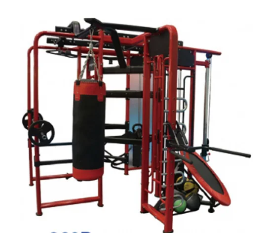 Multi Functional Synergy 360 Machine Multi Station Gym Fitness Equipment