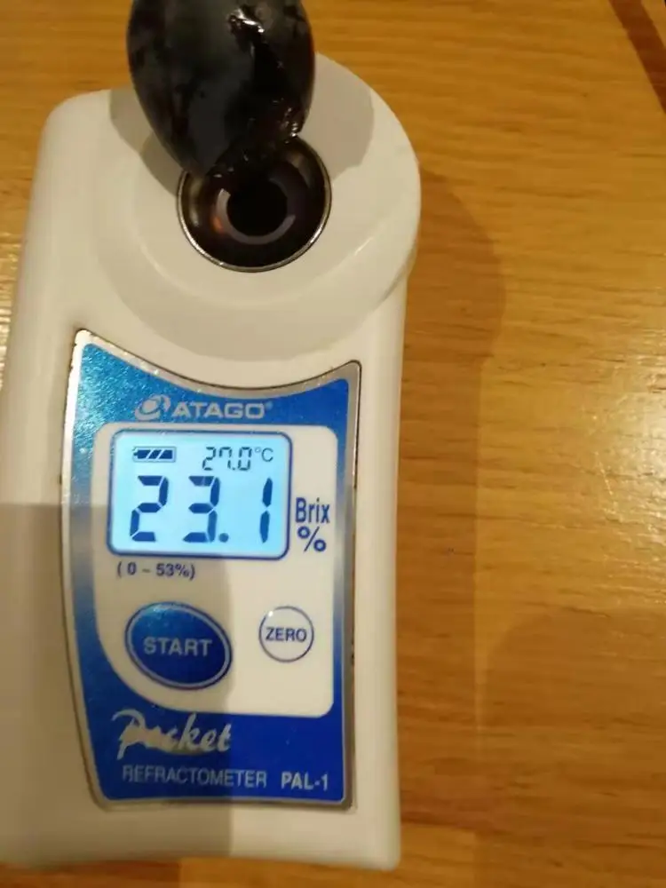 Black grape seedless Summer Royal