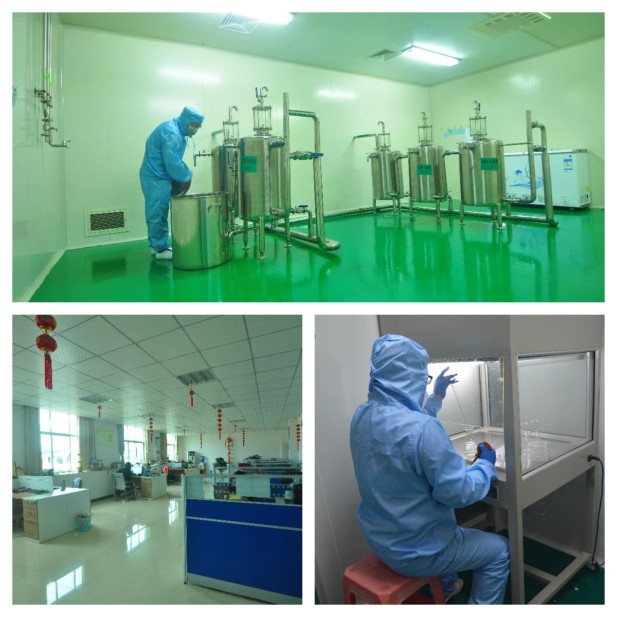 Wholesale Bulk Evening Primrose Essential Oil for Hair Nail High Quality Carrier Oil Linoleic Acid Capsule Best Price