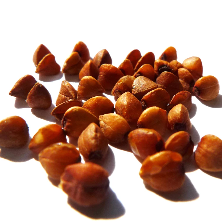 
 Жареный гречихи муки запеченные ядра гречихи  