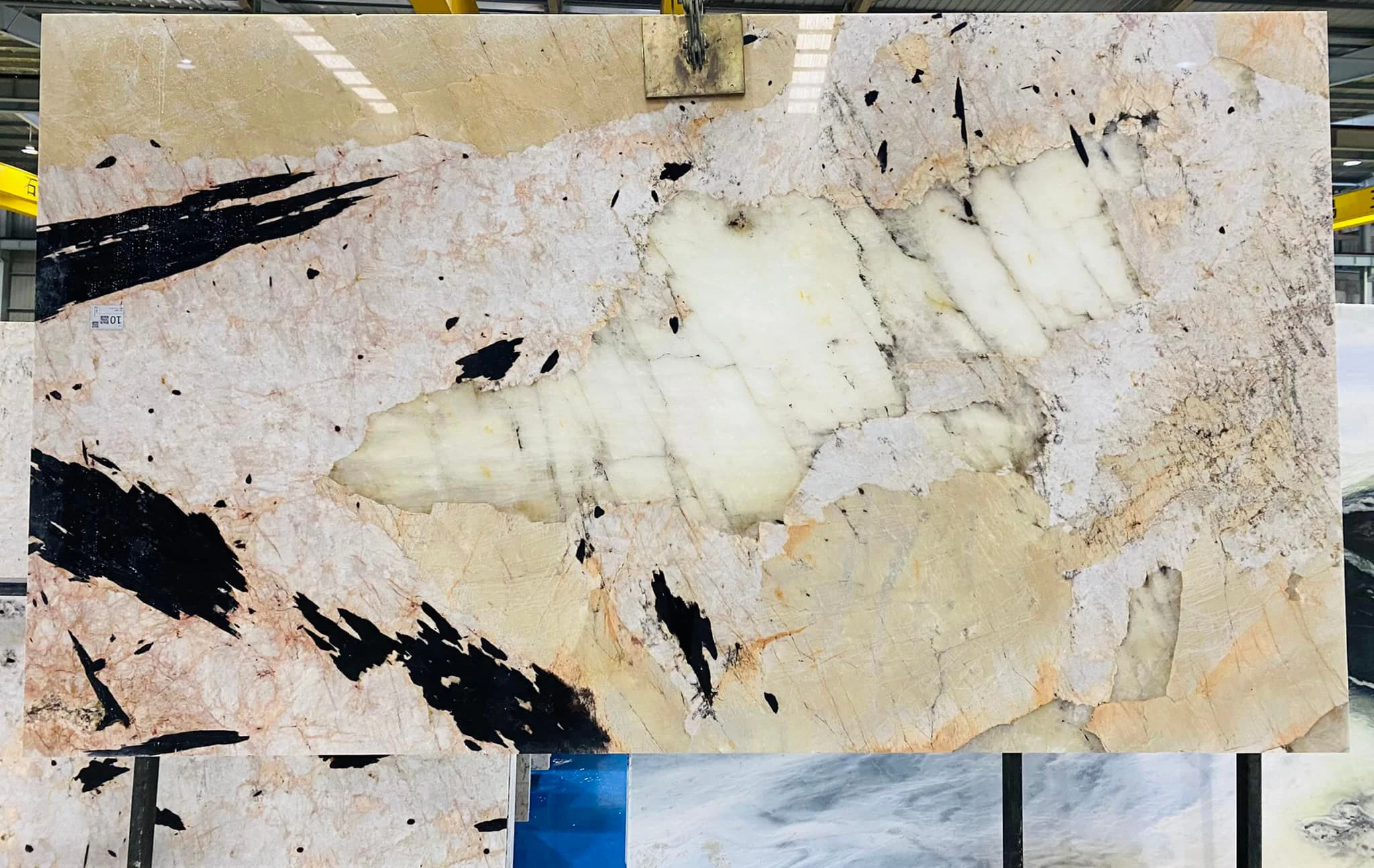Large Stock Patagonia Granite Price Patagonia Marble Slab for Villa Wall Decoration Stone