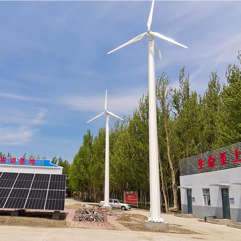 Competitive price 10 kilowatt wind turbine horizontal axis wind mill generator for farm