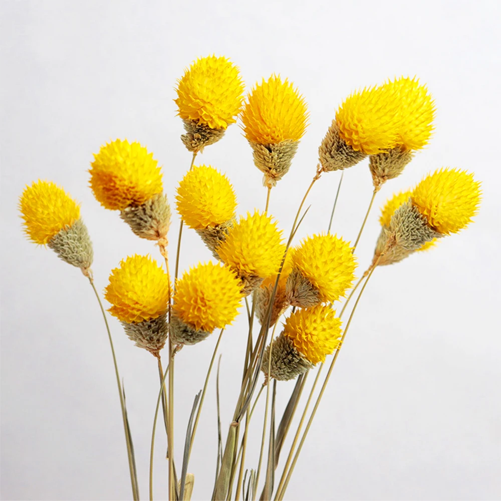 Selling decorative dried bouquets wholesale multi-color strawberry fruit dried flowers eternal flowers