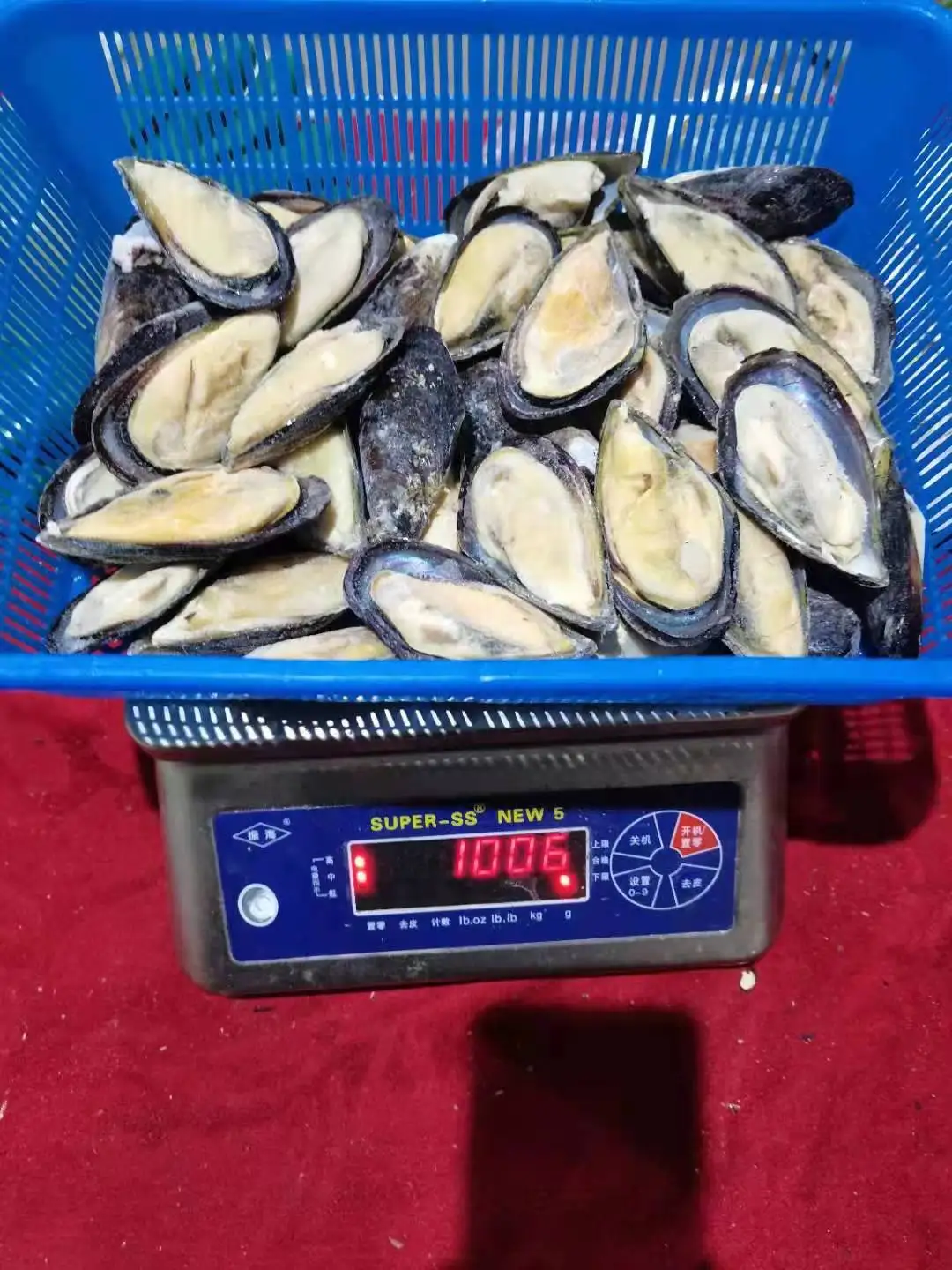 2023 Season Frozen New Zealand Green Mussel Cooked Half Shell Iqf Shellfish Seafood Boiled Black Big Size
