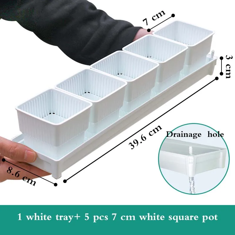 Square Plastic Flower Pots with tray for Starting Seedlings, or Succulents cactus plants