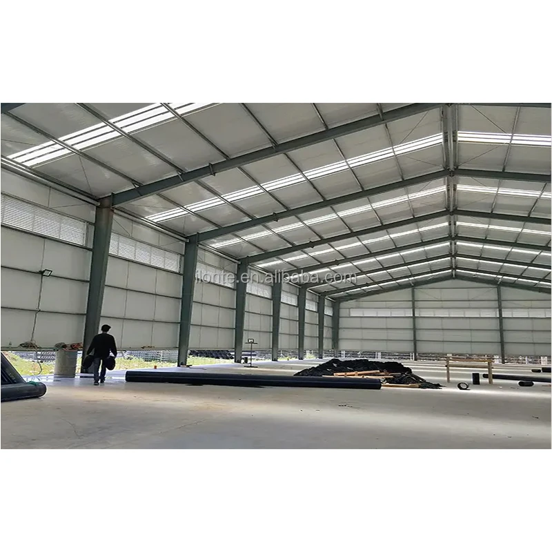 LONTE high rise story steel structure building houses Steel Structure Building storage building storages sheds