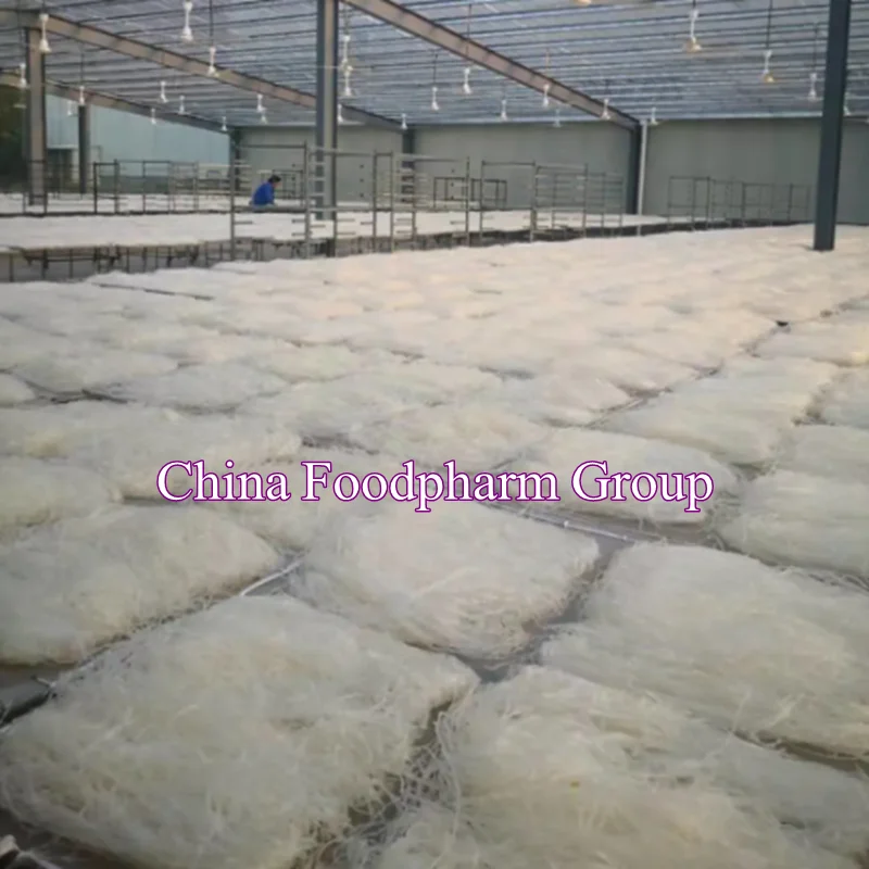 
China agar factory directly sale Agar Agar for making jellies, puddings, and custards etc 