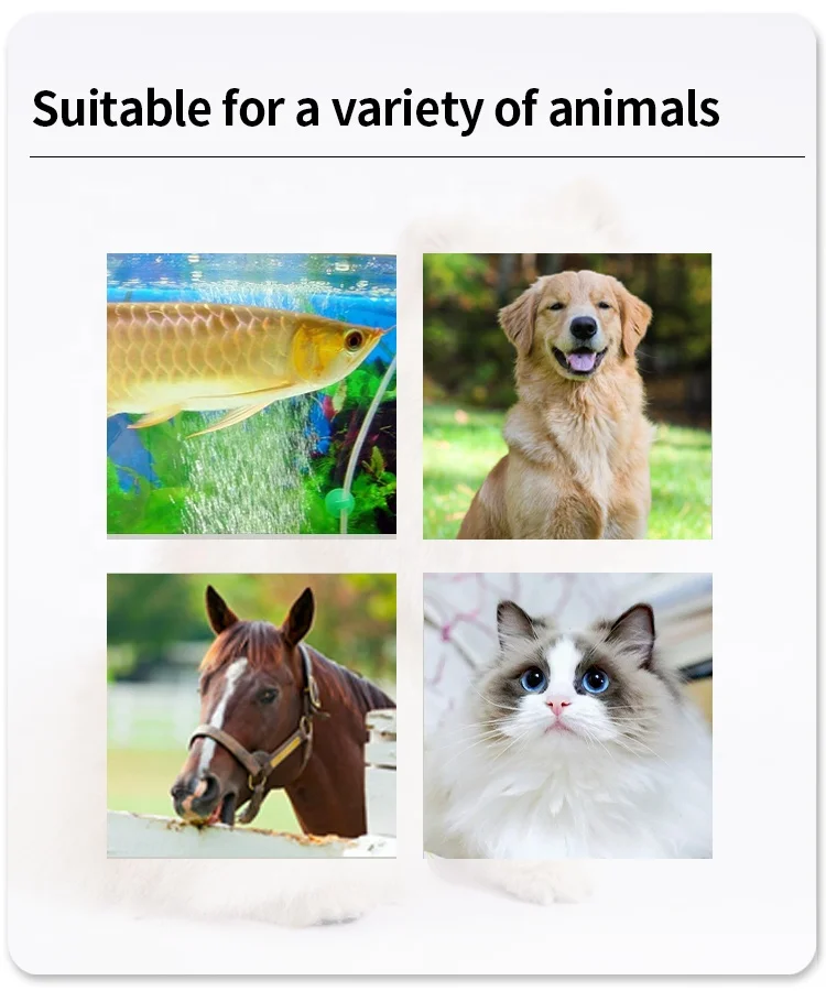 G-104 Animal ID 134.2KHZ Mini Glass Tag Injectable Microchip for Dogs Cats Pet RFID Transponder Microchip