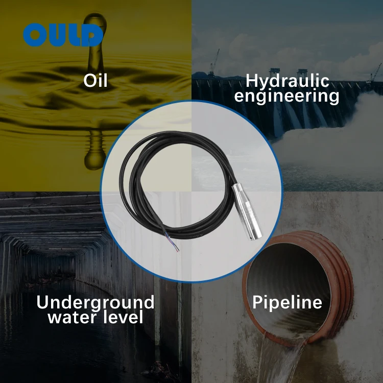 OULD PT-928 Water Level Meter 100M Submersible Measure Tank Water Level Alarm Gauge Sensor Transmitter
