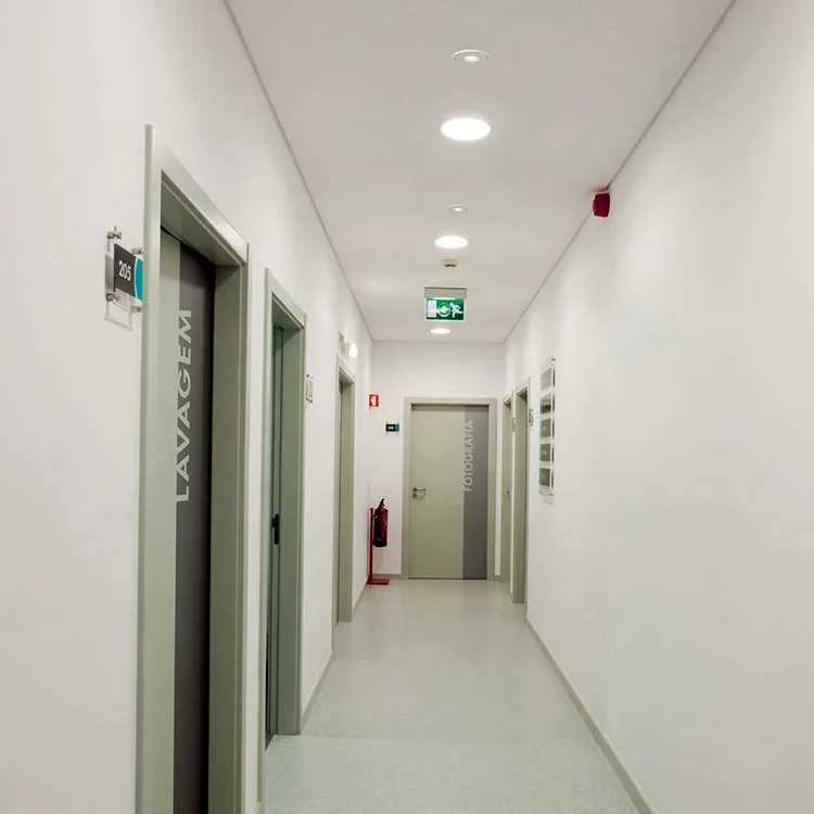 High Brightness 6500k 3 Years Warranty 2 Cob Chips Indoor Using Spring Buckle Installation Type Led Emergency Light