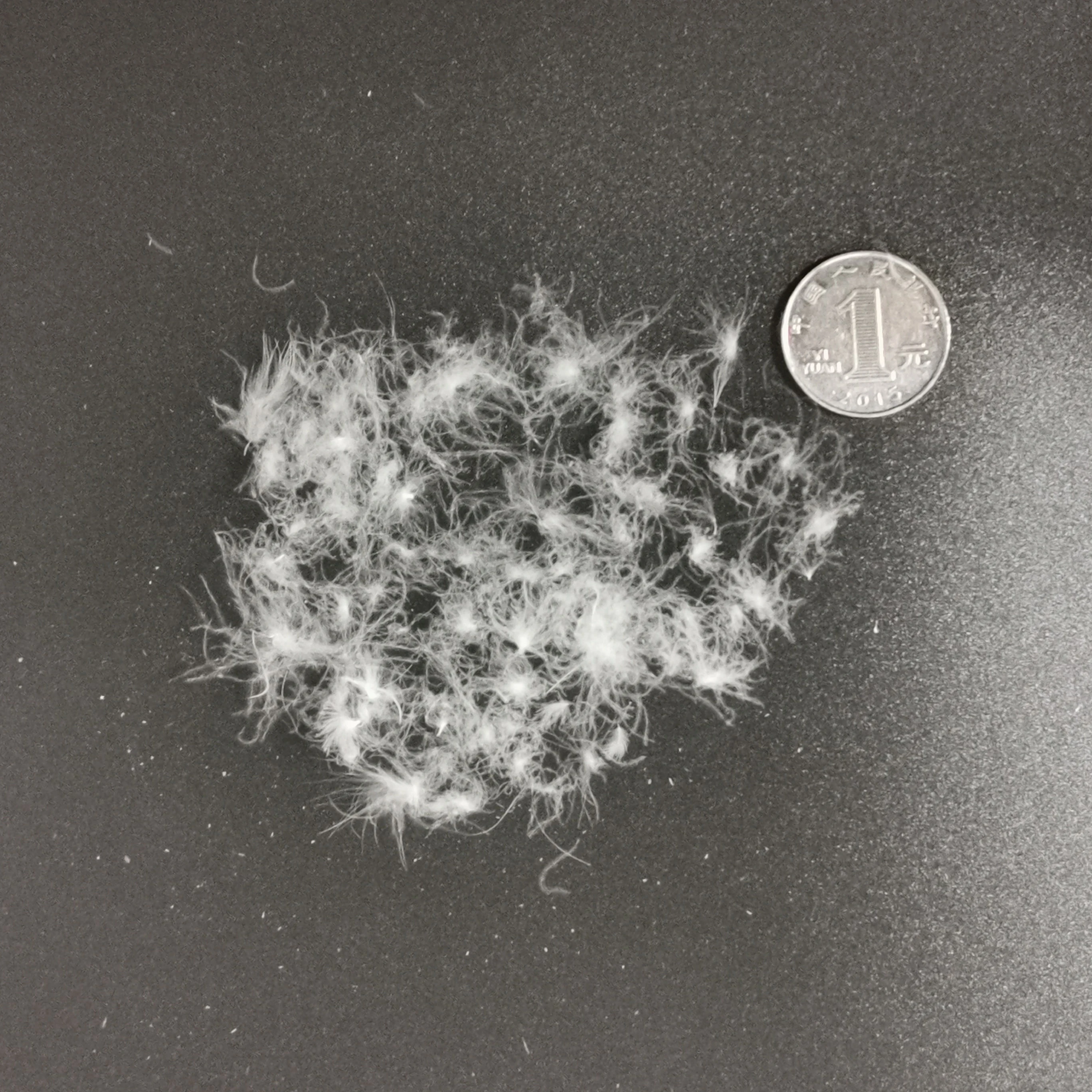 
Hot sale bedding filling wash white duck down , good cleanness duck down feather 