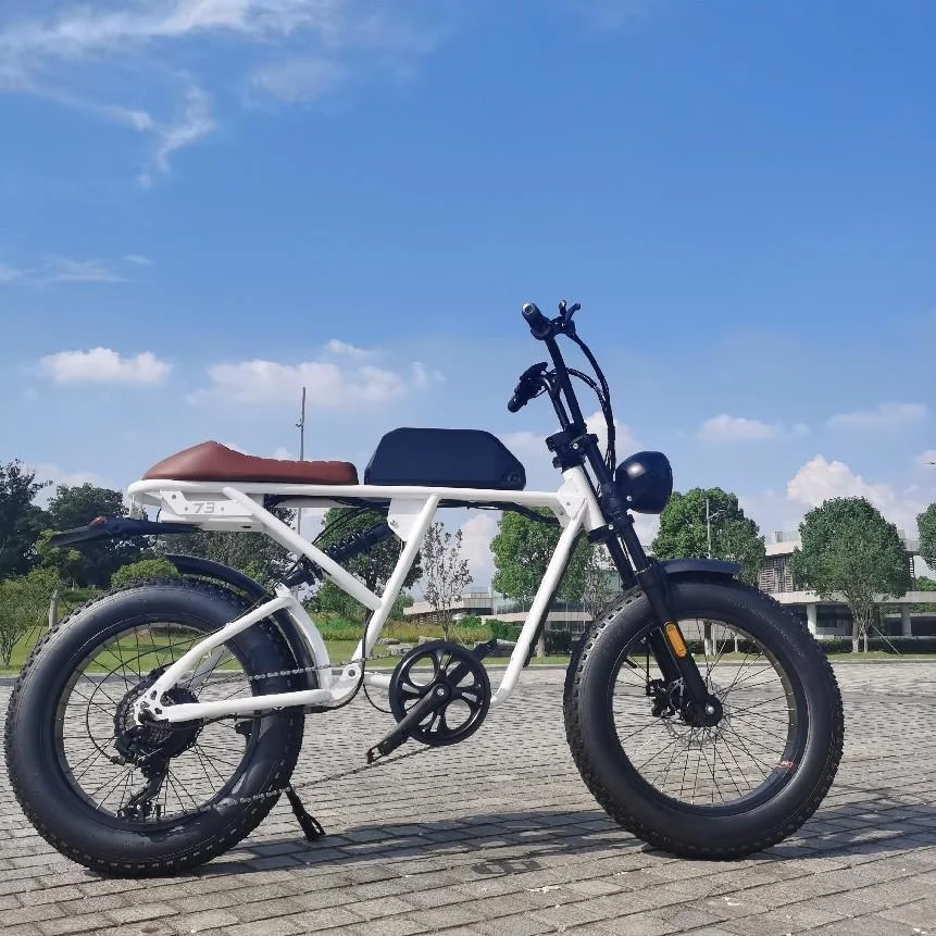 1000 Вт 48 в супер толстые шины 73 ретро Электрический велосипед Ebike Быстрая доставка большой радиус действия 21