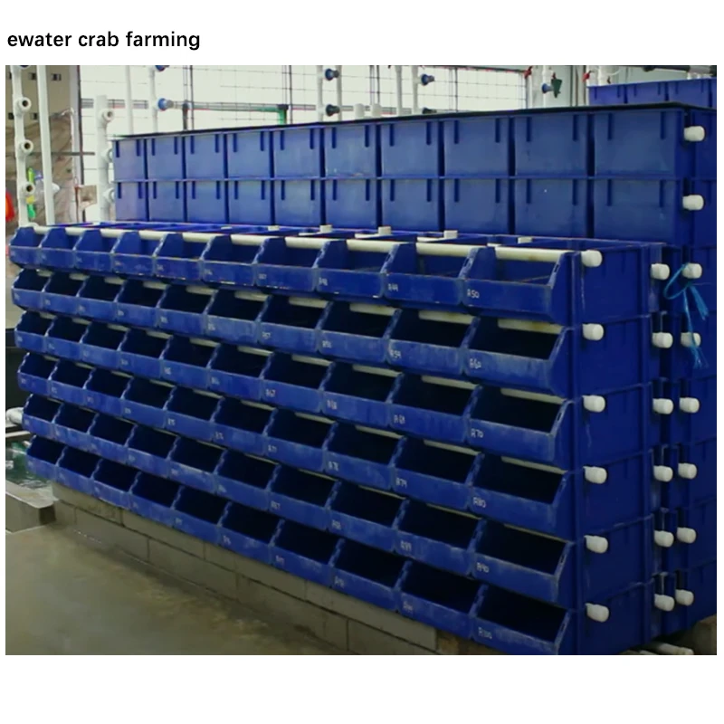 Factory wholesale aquaculture mud crab plastic boxes crab house for fish farm