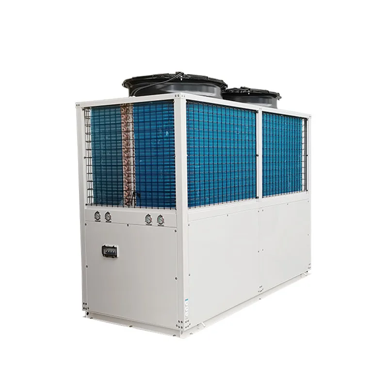 Commercial industrial use high temp air source heat pump 80 degc for radiator heating/food drying