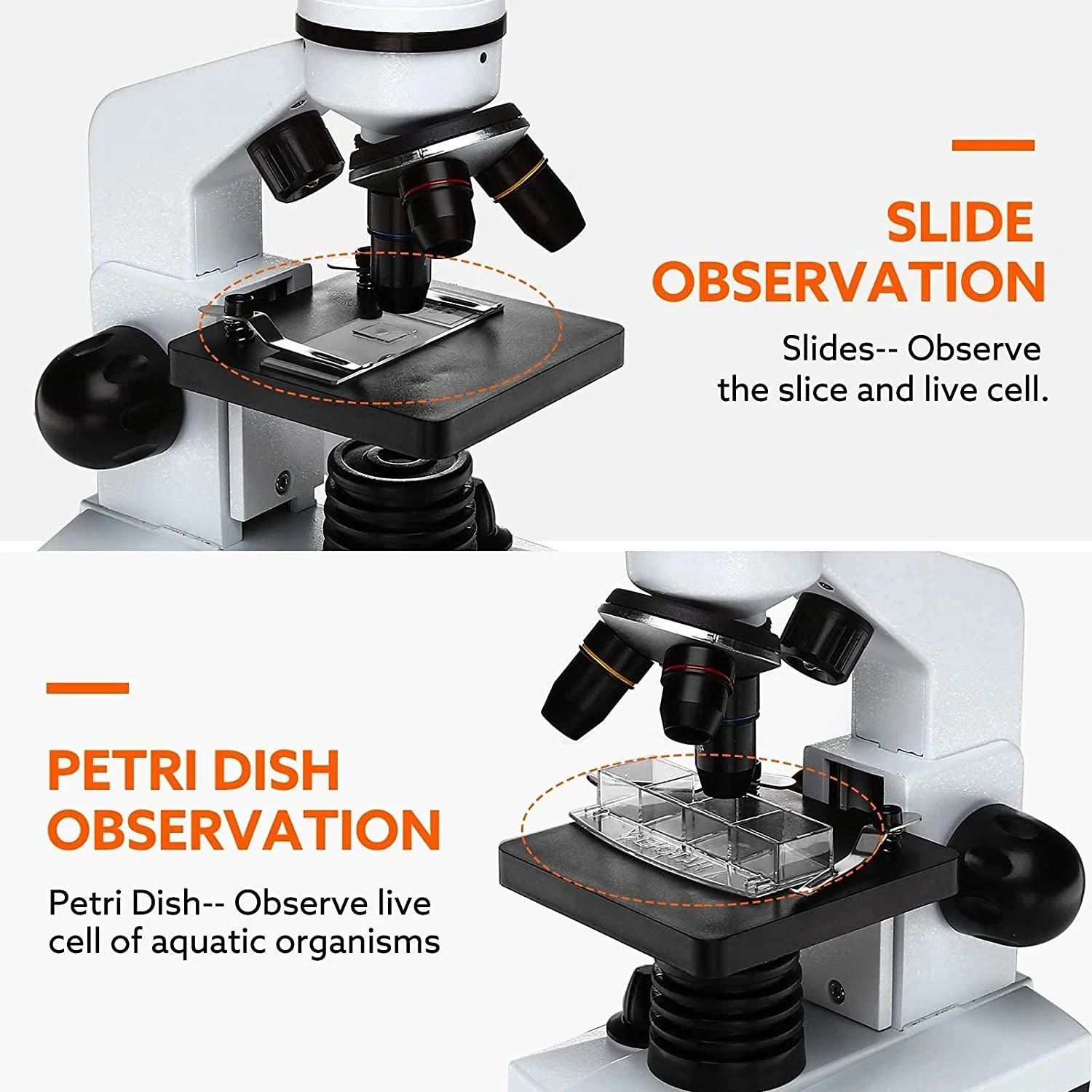 Electron Biology Microscope 1600X Led light  6 Color Filter Slides cell Observation Microscope Optical microscope digital micros