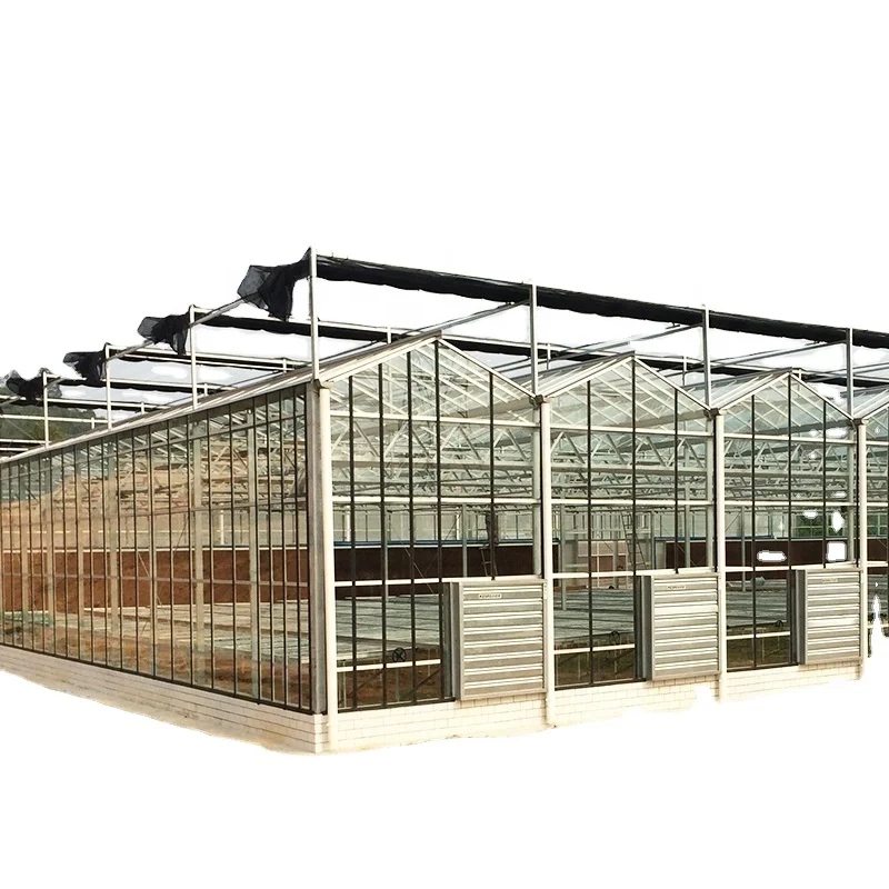 
Good pervious to light Greenhouse agricultural greenhouse  (1600112529212)