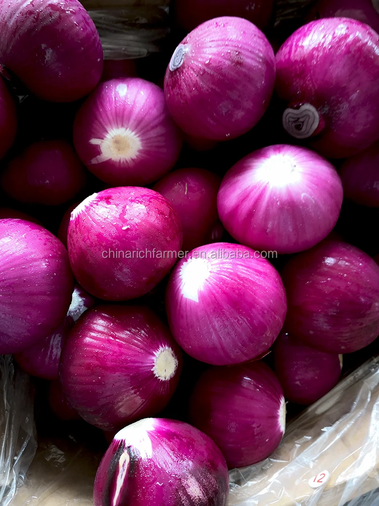 China Fresh Onion Supplier Red Onion
