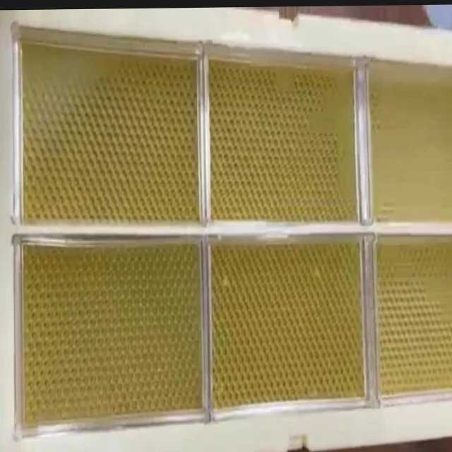 Langstroth Frames 500g Plastic Comb Honey Frames Cassettes Set Honeycomb Making Box Beekeeping Beehive Equipment for Honey boxes