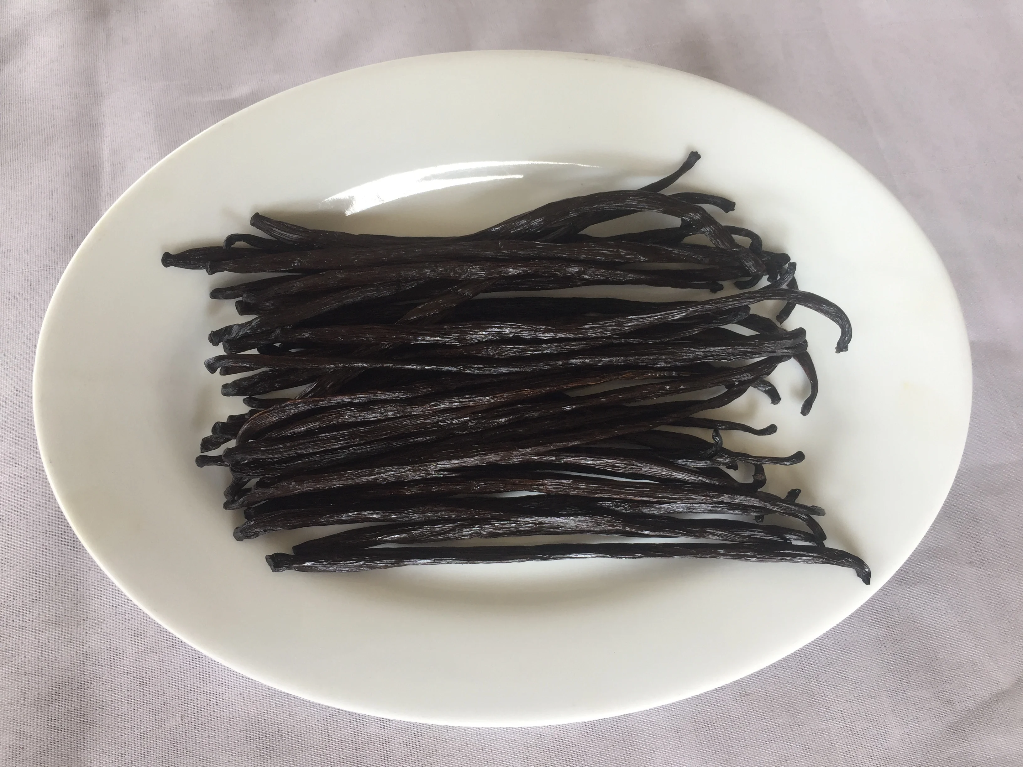 RENDAH PLANIFOLIA GOURMET 18-19CM VANILLA BEANS Super Premium Quality Indonesia Hot Selling Bourbon Vanilla Pods with Best Price
