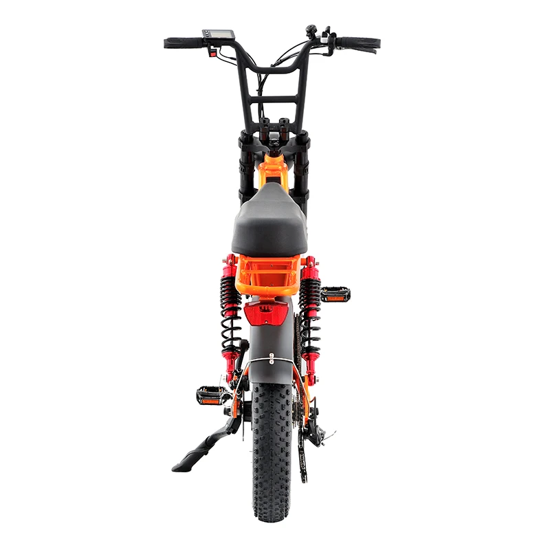 Fat Tire 48v Electric Bike 750W Mountain Bicycle Double Battery 7 Speed Electric Dirt bike Adult off-road Motorcycles