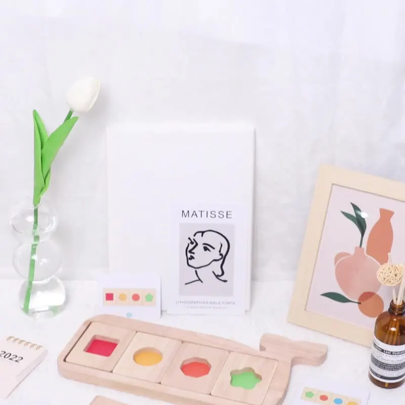 Montessori Geometry Color Separation Puzzle Wooden Toys Sensory Training Shape Matching Games Children Early Education Cognition