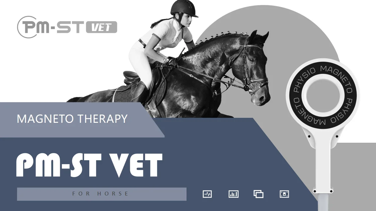 Non Invasive PEMF Horse Pemf Magnetic Therapy Device For veterinary Treatment and Injured Therapies