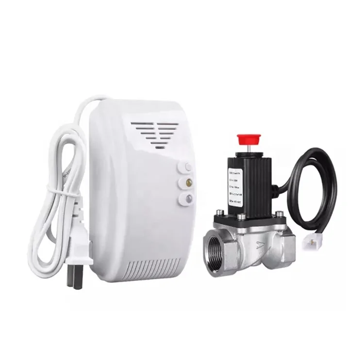 AC220V Standalone Or Solenoid Valve Function LPG Combustible Gas Leak Detector Sensor For Household Kitchen Security Alarm