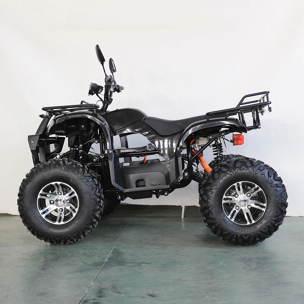 Высокоточный Быстрый 4x4 китайский взрослый Электрический atv