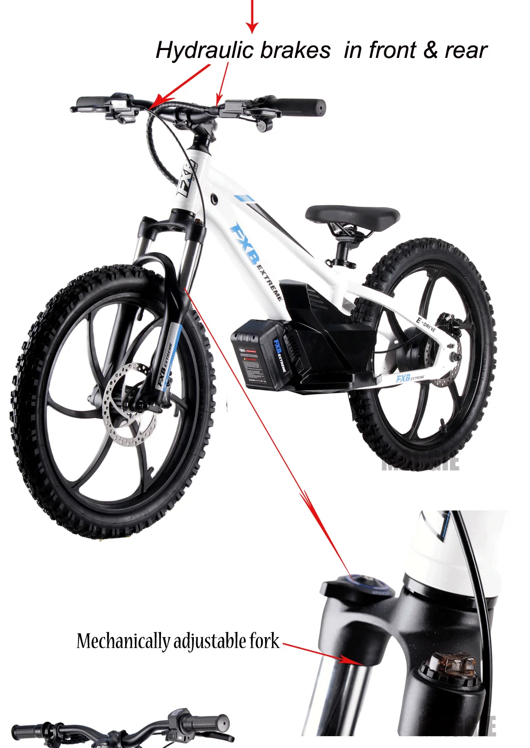 Hot Sell 20inch Lithium Battery 5.0ah 600W Electric balance bike FXB Style kids bike electric motorcycle