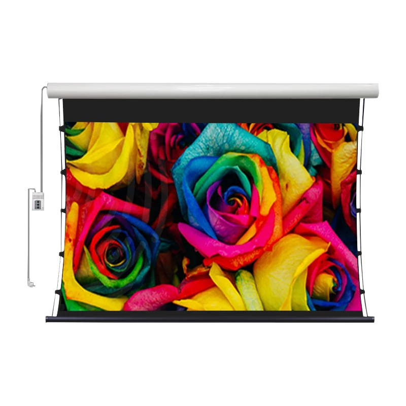 Wupro CBSP PET Crystal 120 дюймов Электрический выпадающий проекционный экран CLR