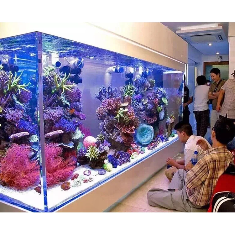 Factory manufacture rocks coral new style fish aquariums and accessories to aquariums