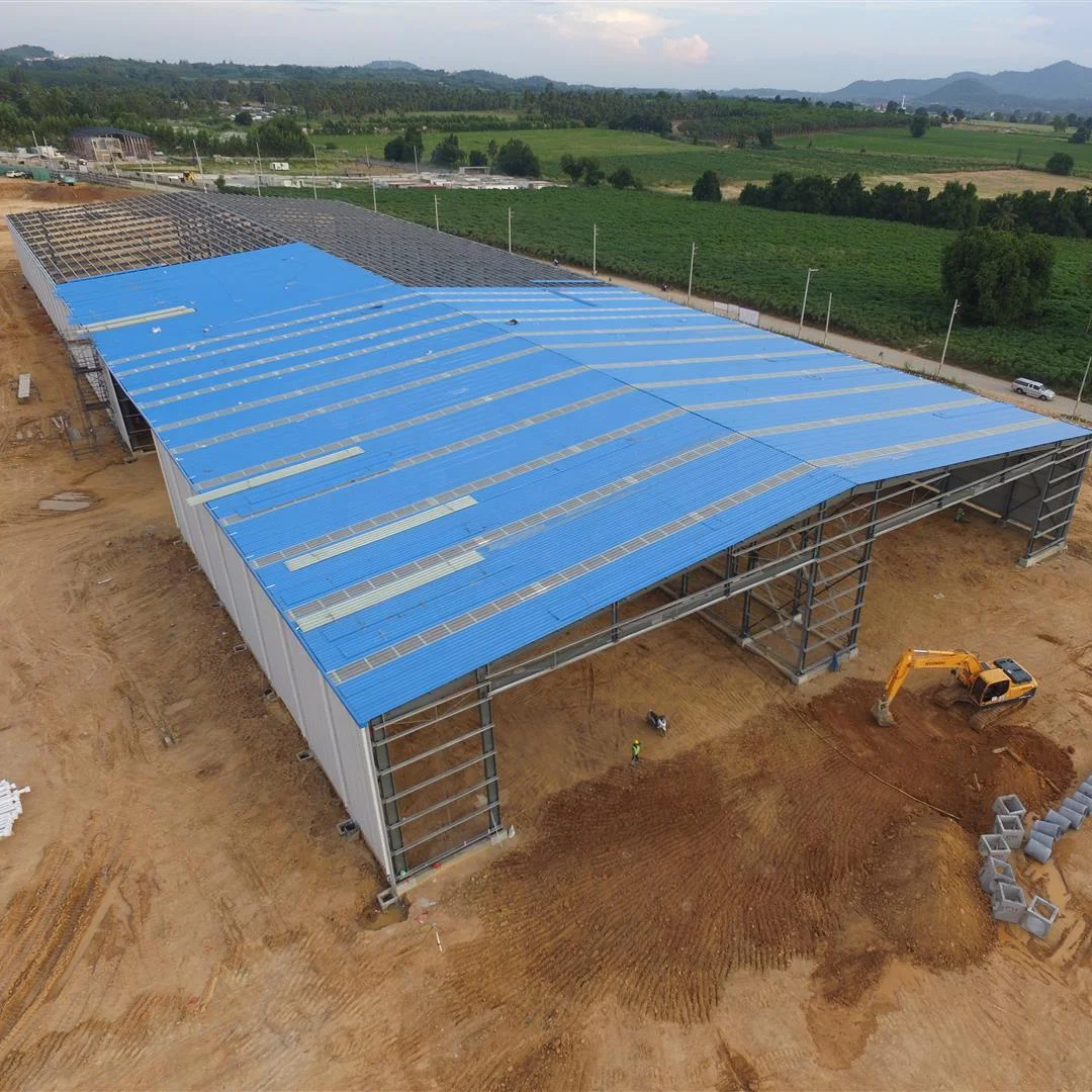 Professional Design China Factory Made Light Prefab Building Steel Structure Workshop