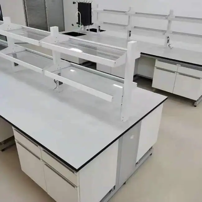 Epoxy Coated Steel Frame And Wood Laboratory Worktable With Lab PP Sink