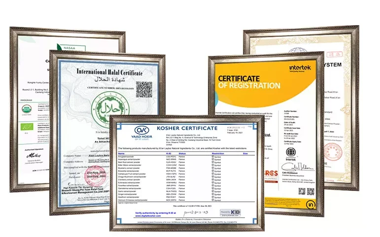 Factory bulk inositol powder 99% myo-inositol