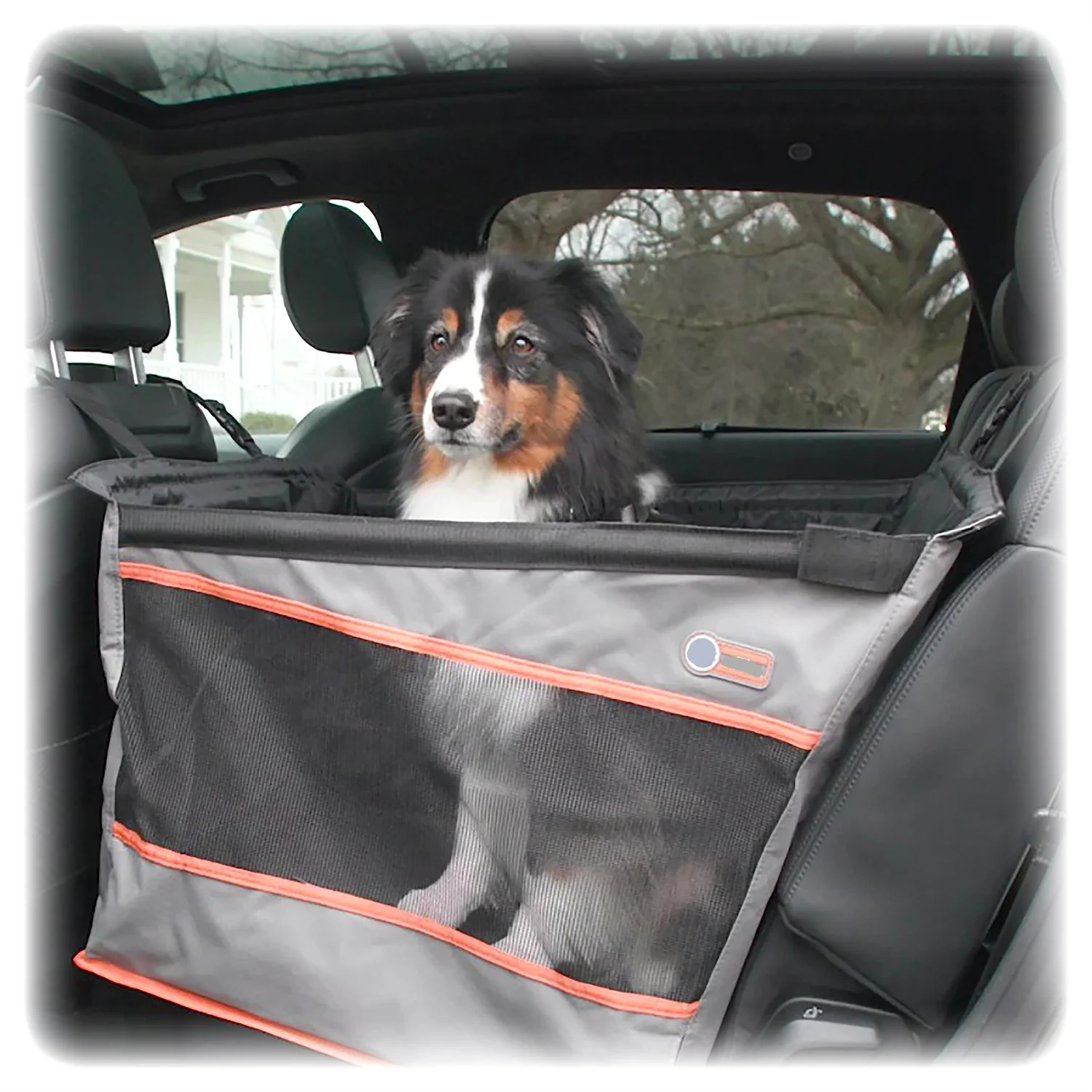 Eco-friendly webbing detachable safety fixing pet dog car booster seat outdoor mat rear basket dog car seat