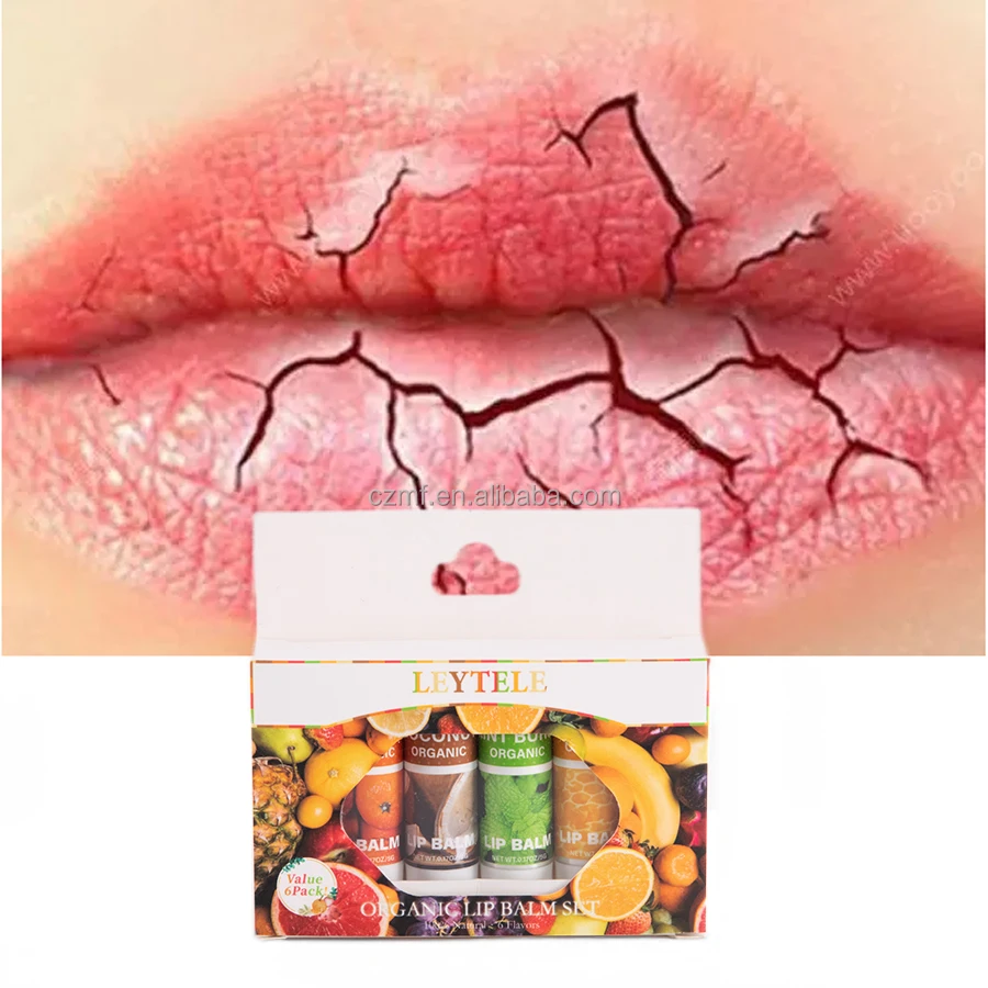 Private Label Natural Long-lasting Moisturizing Chapstick Lip Gloss 6 Fruit Flavor Blueberry Organic Lipstick Embellish Lip Balm