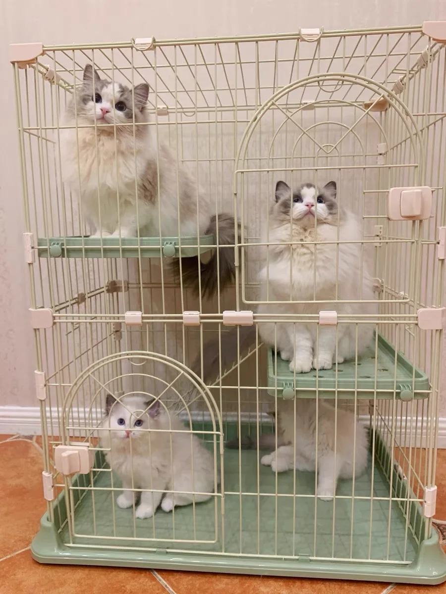 new cat cage670
