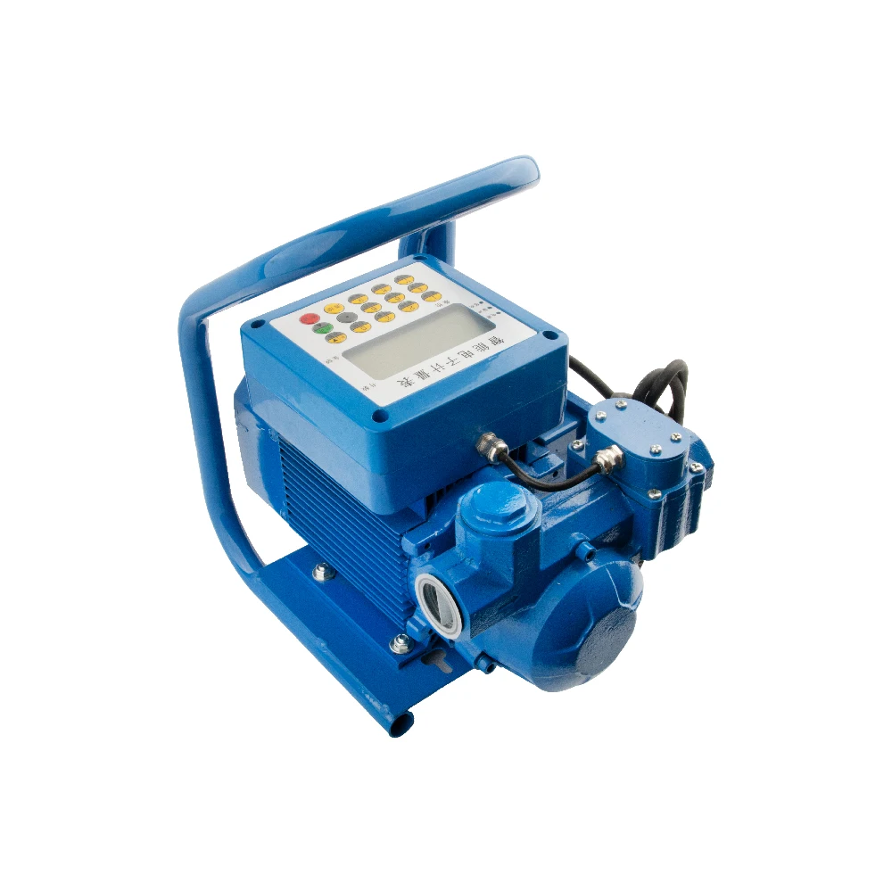 Cavitt 12v/24v/220v Quantitative Explosion-proof Reel Pump Portable Fuel Pump Quantitative Flow Meter Gasoline Pump